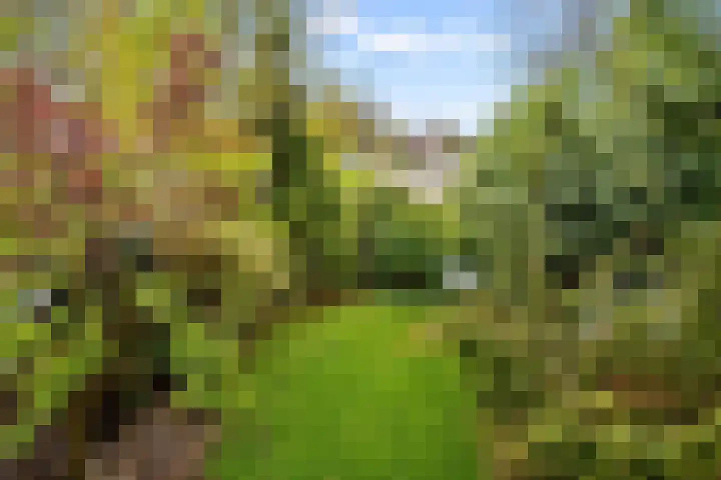 Lepelaarweide 3 Houten thumbnail 54