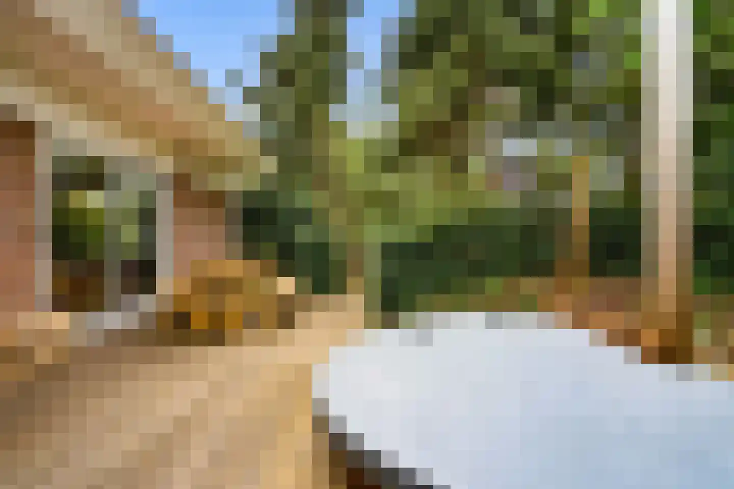 Lepelaarweide 3 Houten thumbnail 56