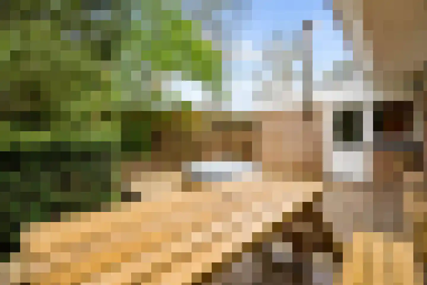 Lepelaarweide 3 Houten thumbnail 57