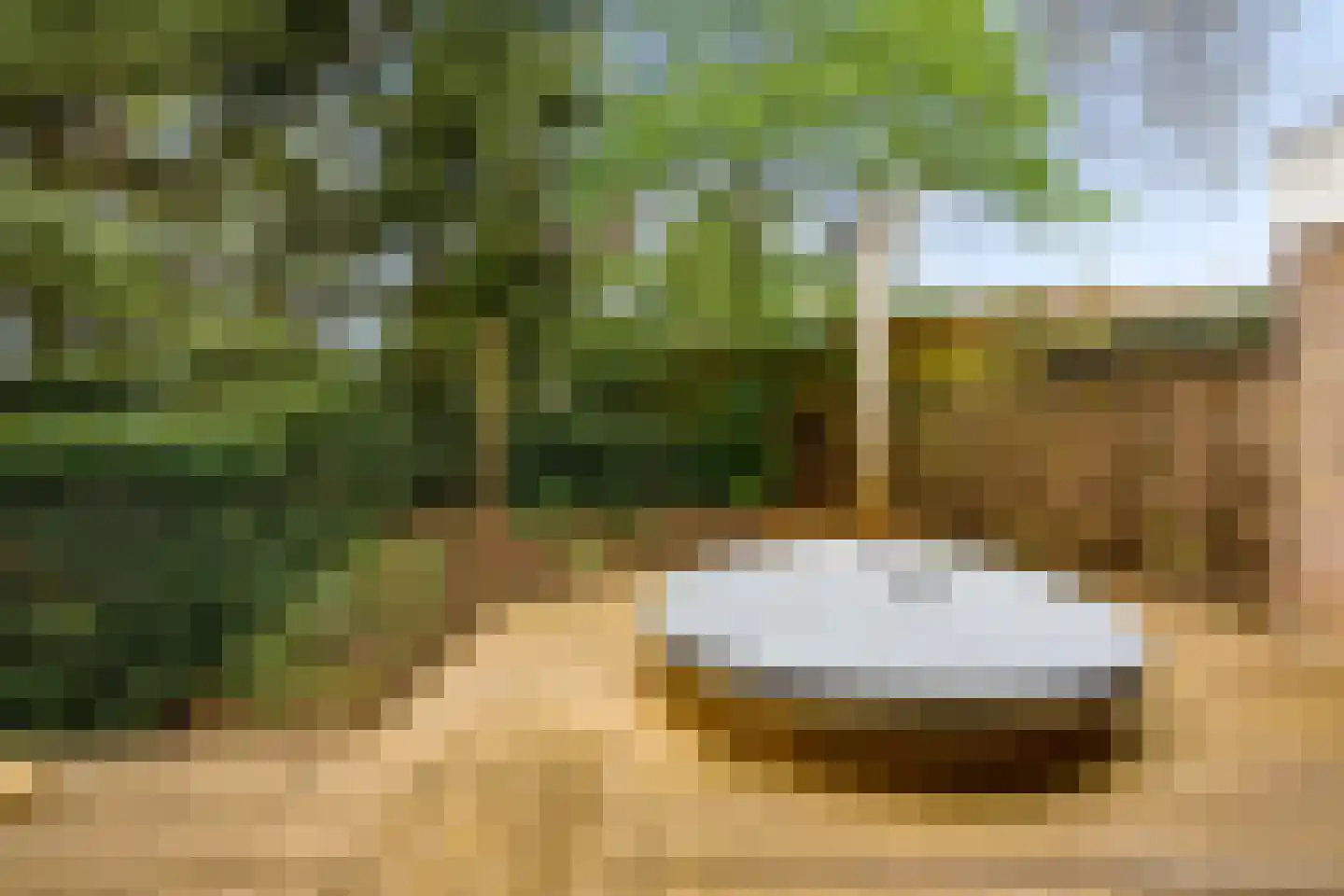 Lepelaarweide 3 Houten thumbnail 58