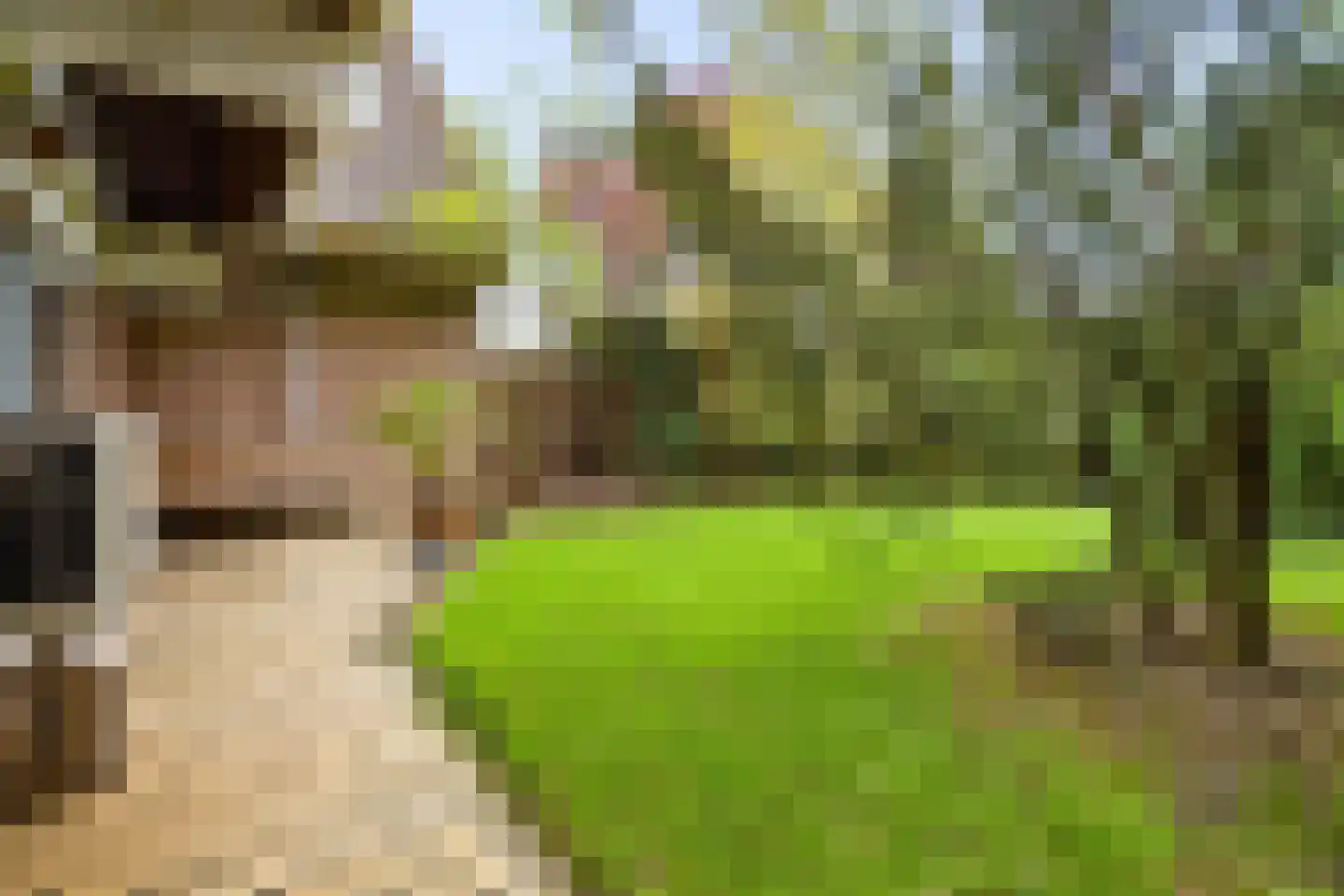 Lepelaarweide 3 Houten thumbnail 59