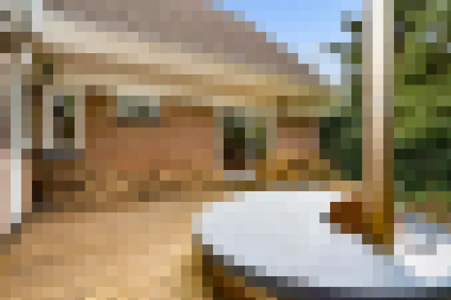Lepelaarweide 3 Houten thumbnail 61