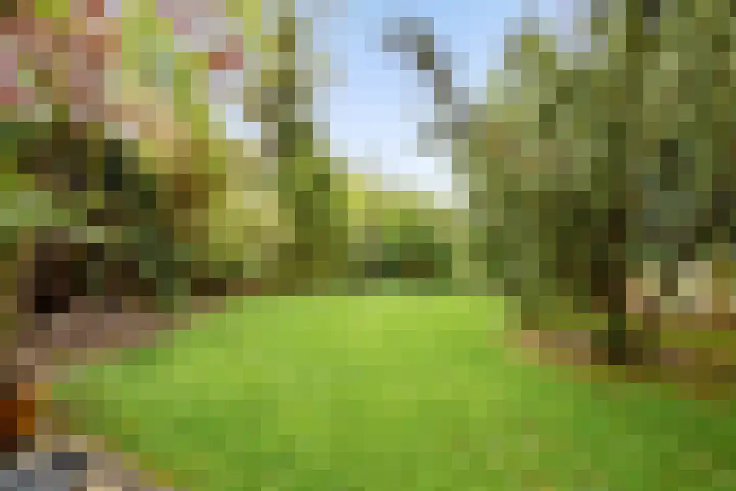 Lepelaarweide 3 Houten thumbnail 62
