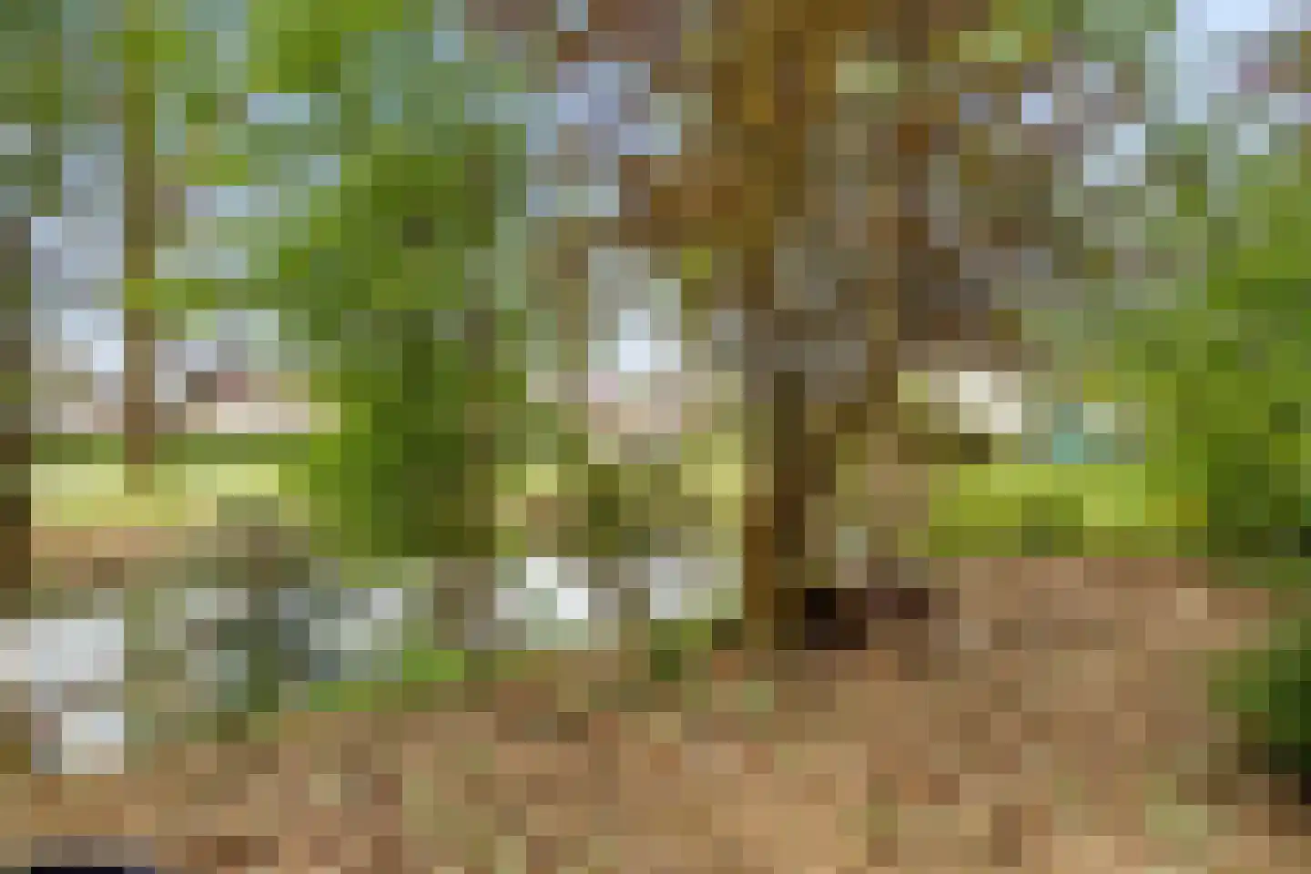 Lepelaarweide 3 Houten thumbnail 63
