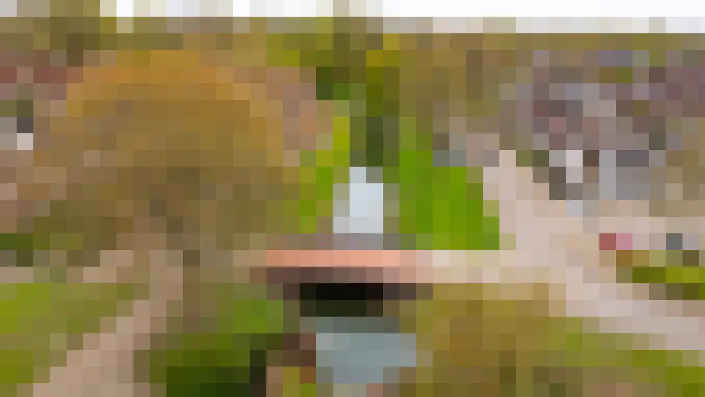 Lepelaarweide 3 Houten thumbnail 67