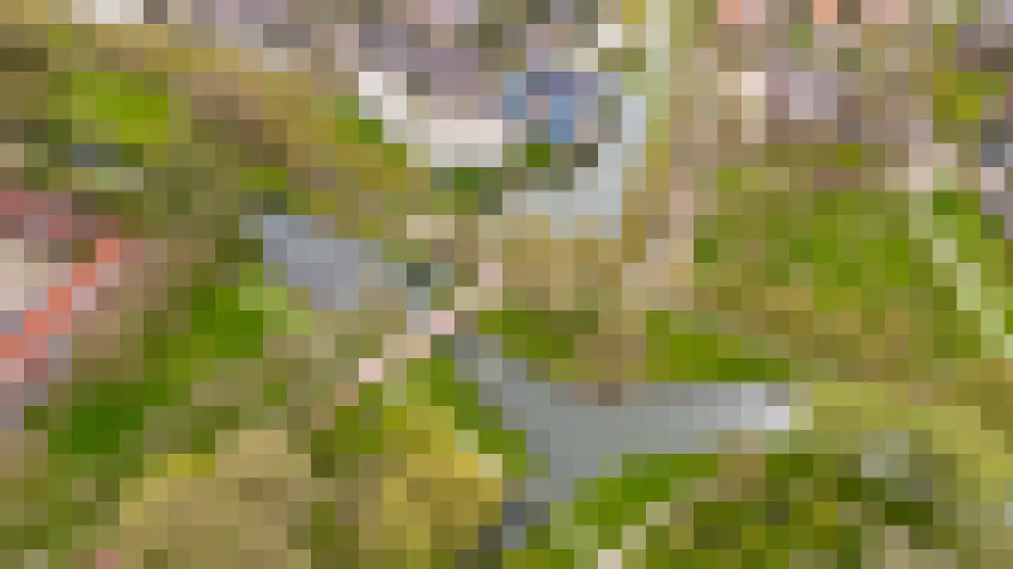 Lepelaarweide 3 Houten thumbnail 69