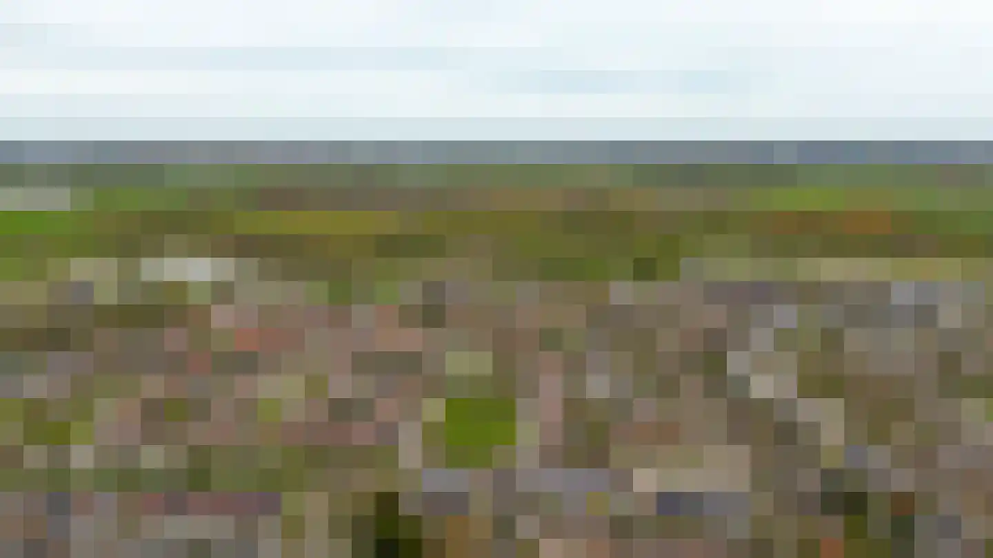 Lepelaarweide 3 Houten thumbnail 74