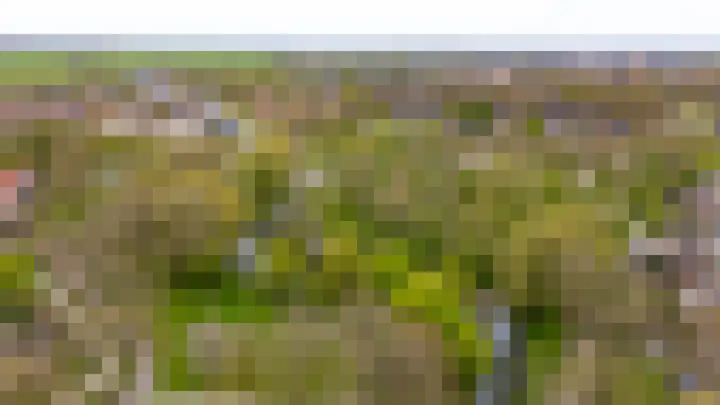 Lepelaarweide 3 Houten thumbnail 75