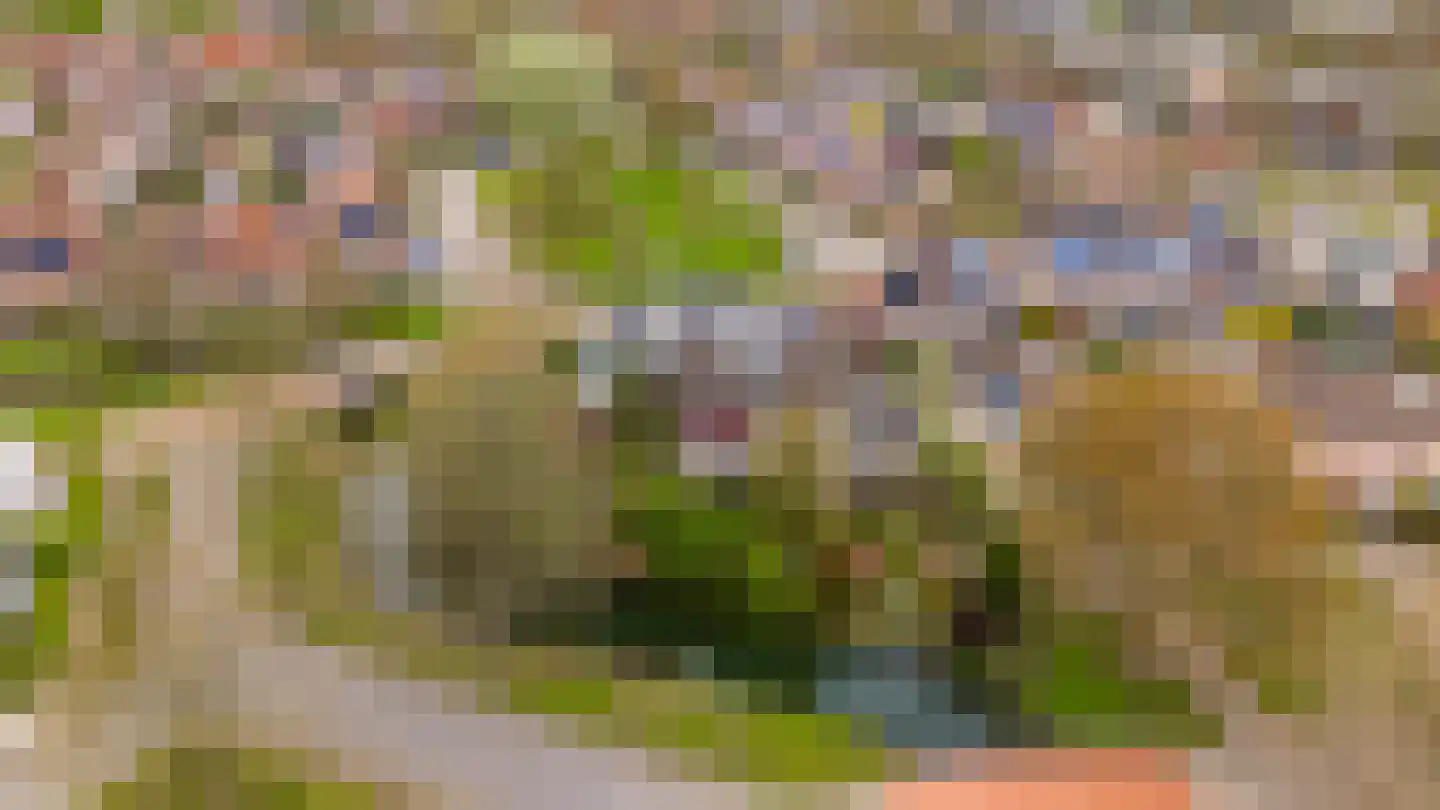 Lepelaarweide 3 Houten thumbnail 76