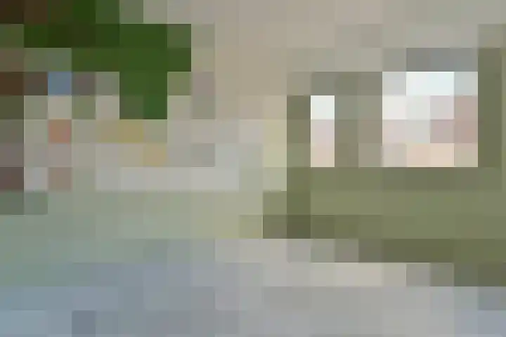 Lepelblad 11 Velserbroek thumbnail 11