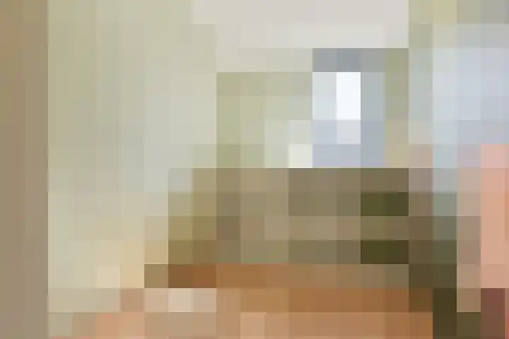 Lepelblad 11 Velserbroek thumbnail 12