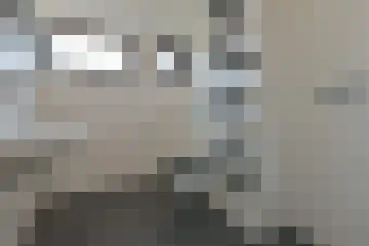 Lepelblad 11 Velserbroek thumbnail 13