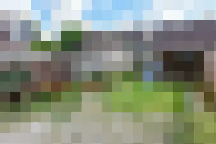 Lepelblad 11 Velserbroek thumbnail 16