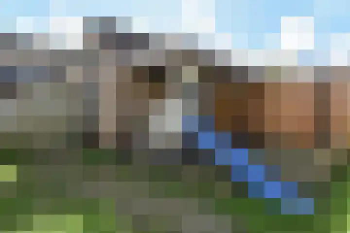 Lepelblad 11 Velserbroek thumbnail 17