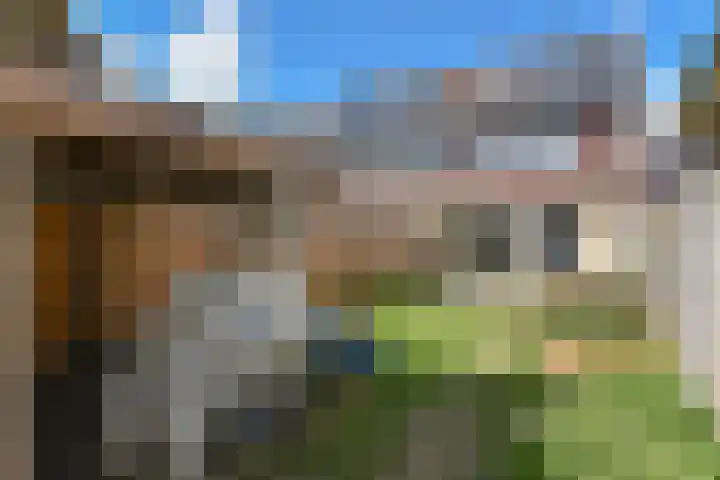 Lepelblad 11 Velserbroek thumbnail 18