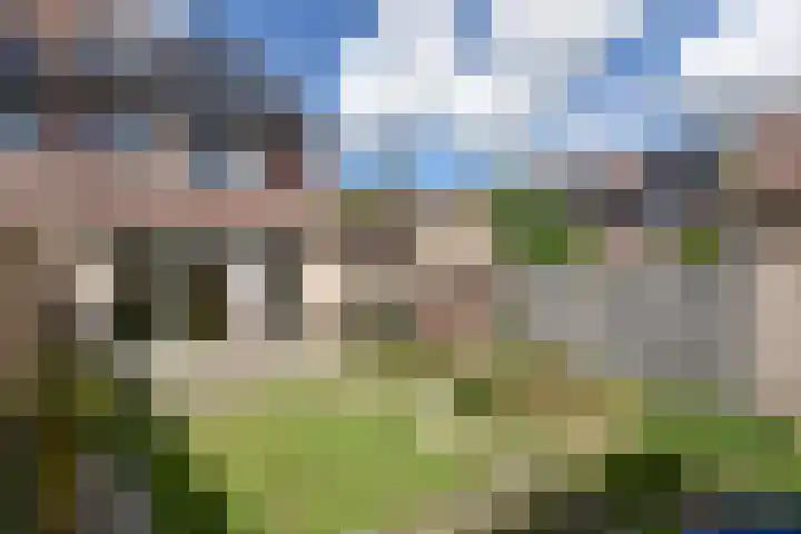 Lepelblad 11 Velserbroek thumbnail 19