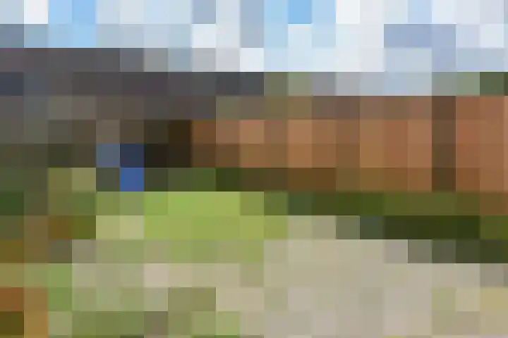 Lepelblad 11 Velserbroek thumbnail 20