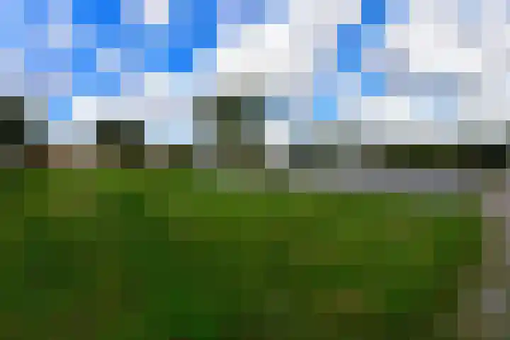 Lepelblad 11 Velserbroek thumbnail 21