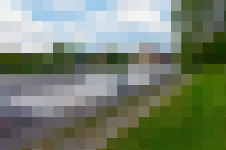 Lepelblad 11 Velserbroek thumbnail 22
