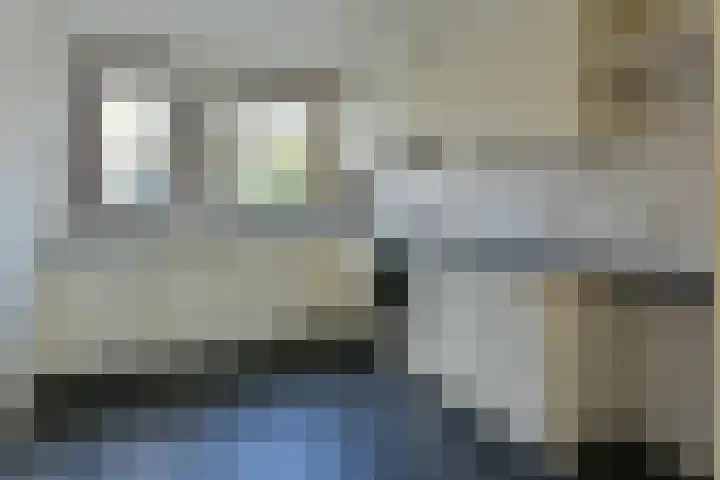 Lepelblad 11 Velserbroek thumbnail 6