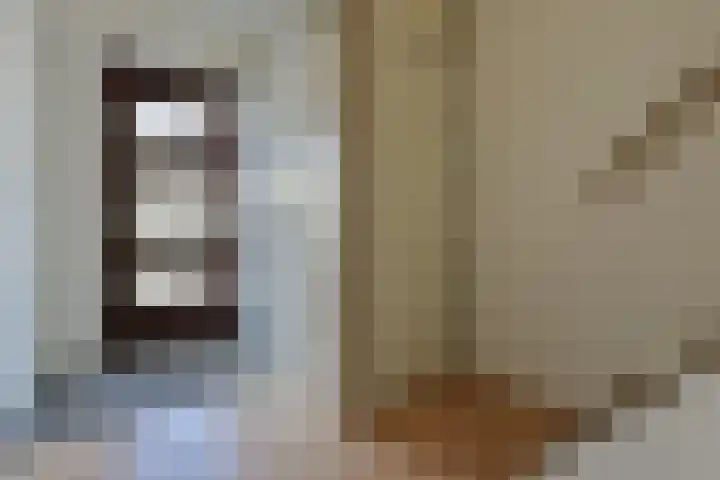 Lepelblad 11 Velserbroek thumbnail 8