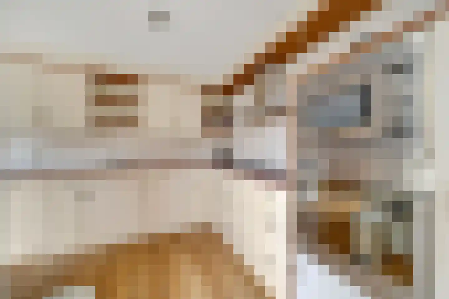 Lepelblad 12 Nijverdal thumbnail 12