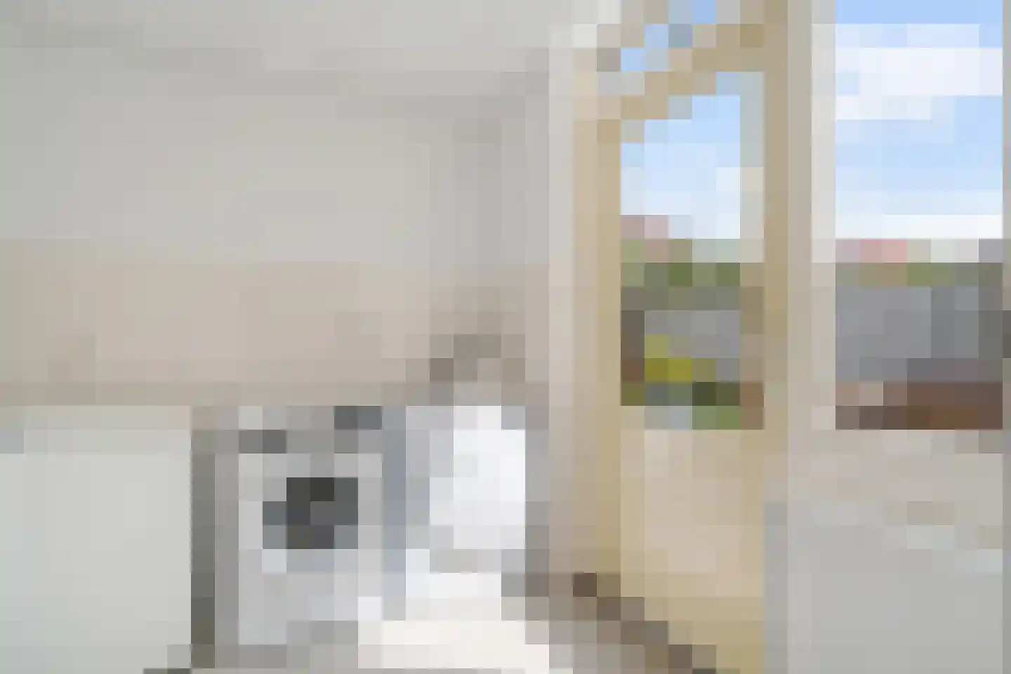 Lepelblad 12 Nijverdal thumbnail 14