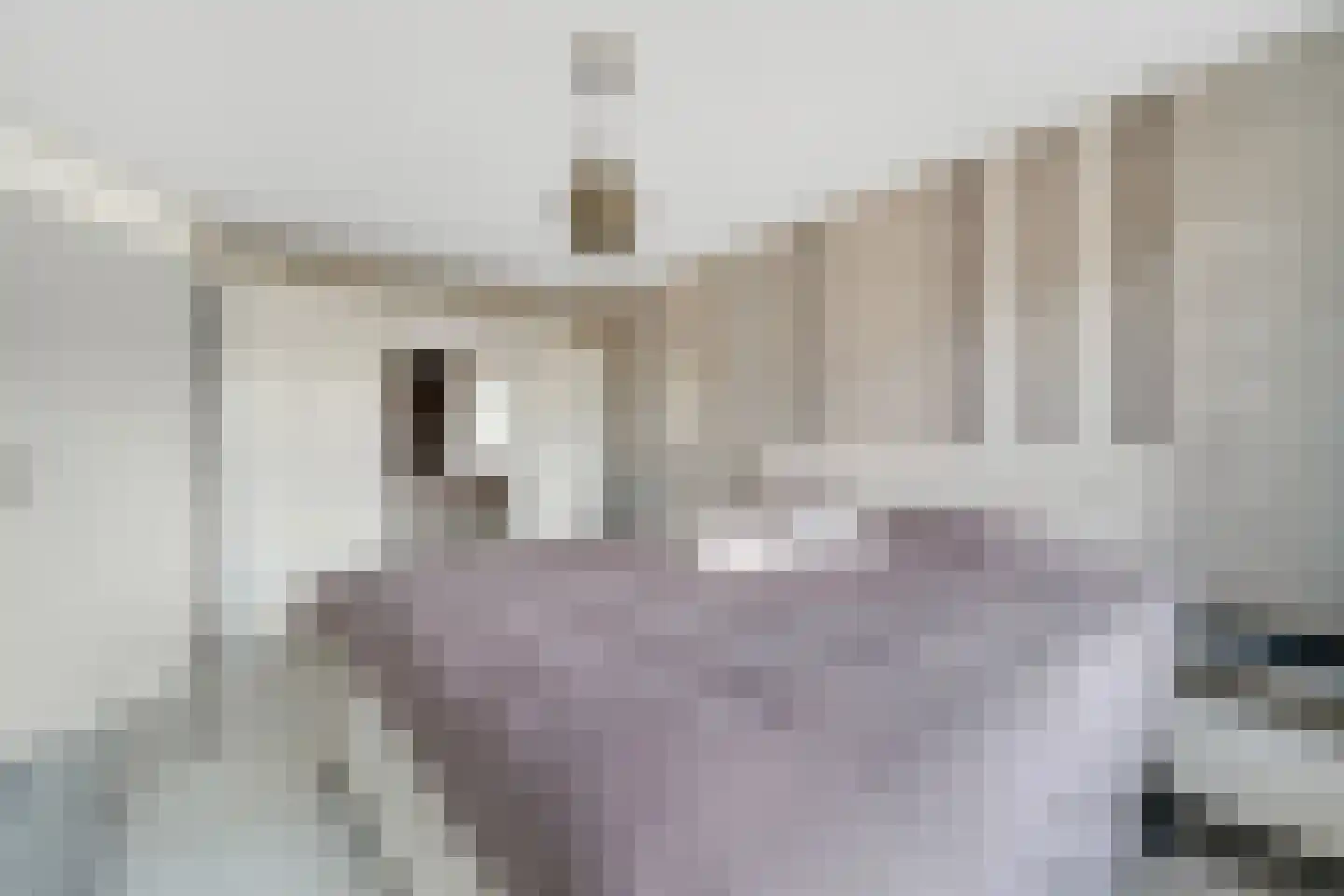 Lepelblad 12 Nijverdal thumbnail 20