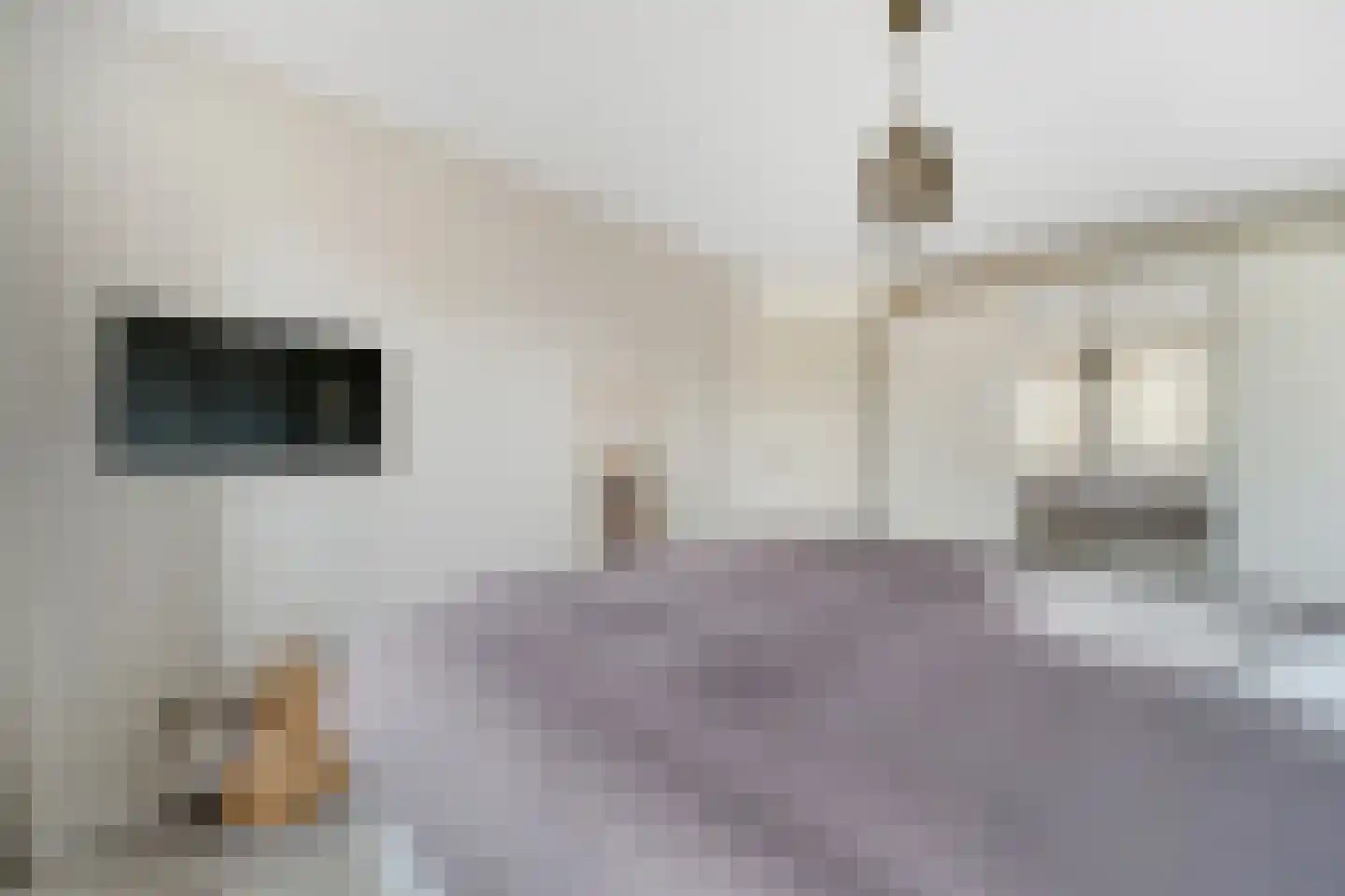 Lepelblad 12 Nijverdal thumbnail 21