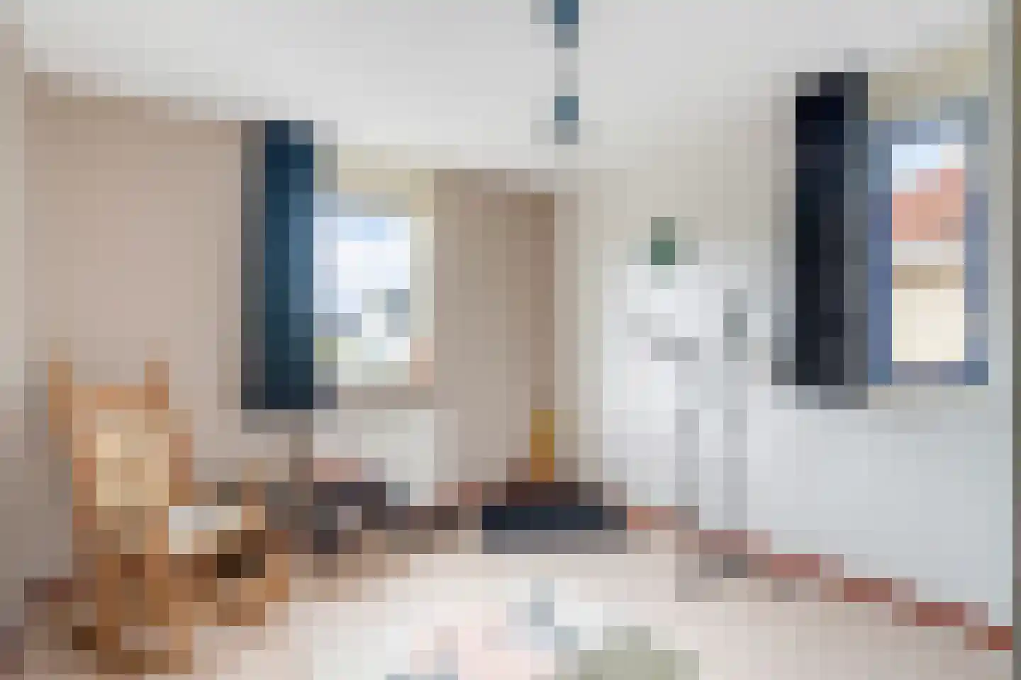 Lepelblad 12 Nijverdal thumbnail 25