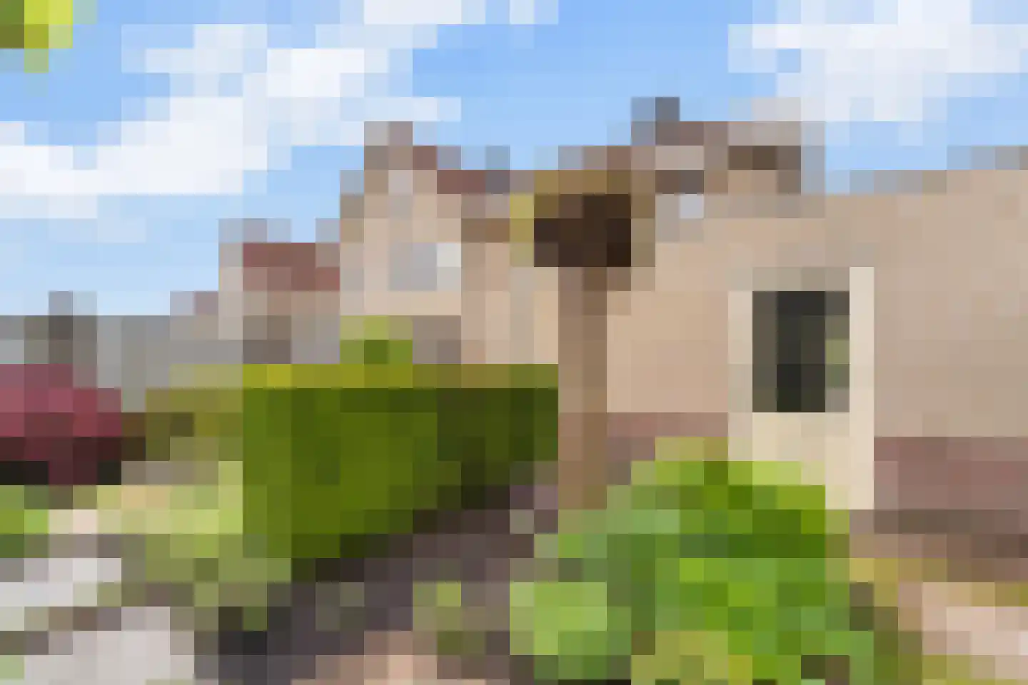 Lepelblad 12 Nijverdal thumbnail 31