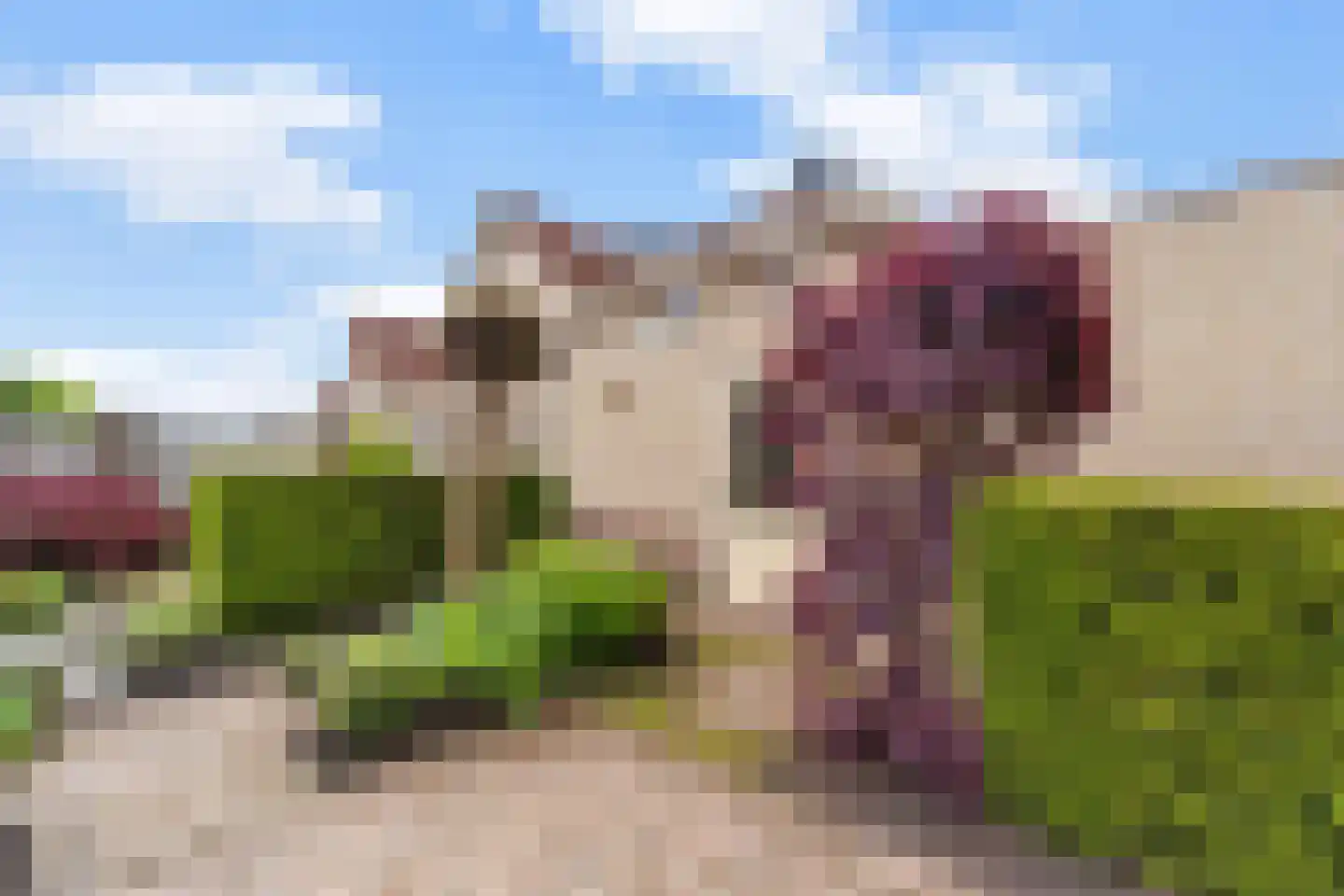 Lepelblad 12 Nijverdal thumbnail 32
