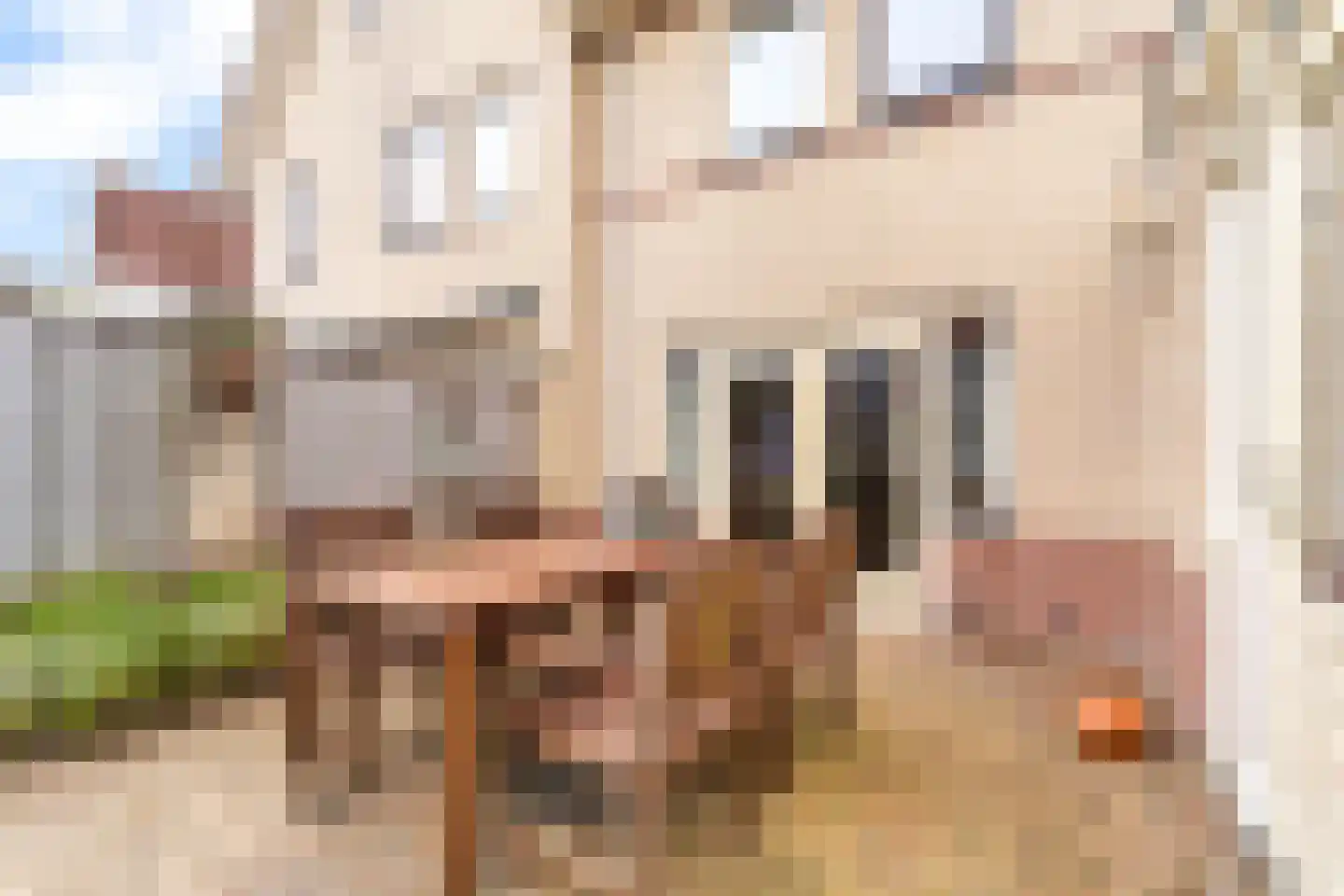Lepelblad 12 Nijverdal thumbnail 34