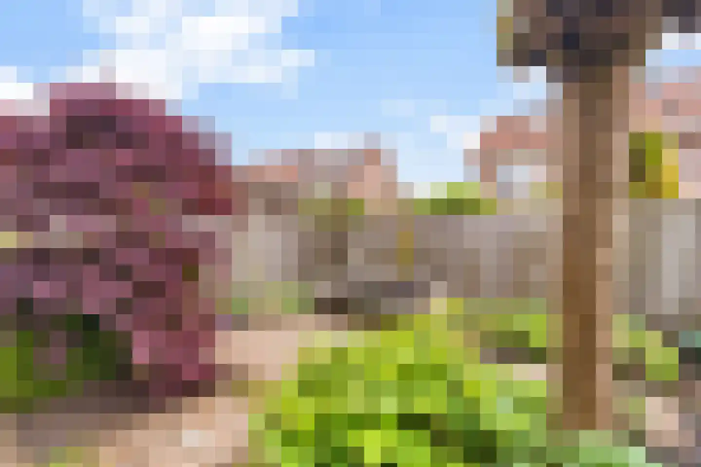 Lepelblad 12 Nijverdal thumbnail 35