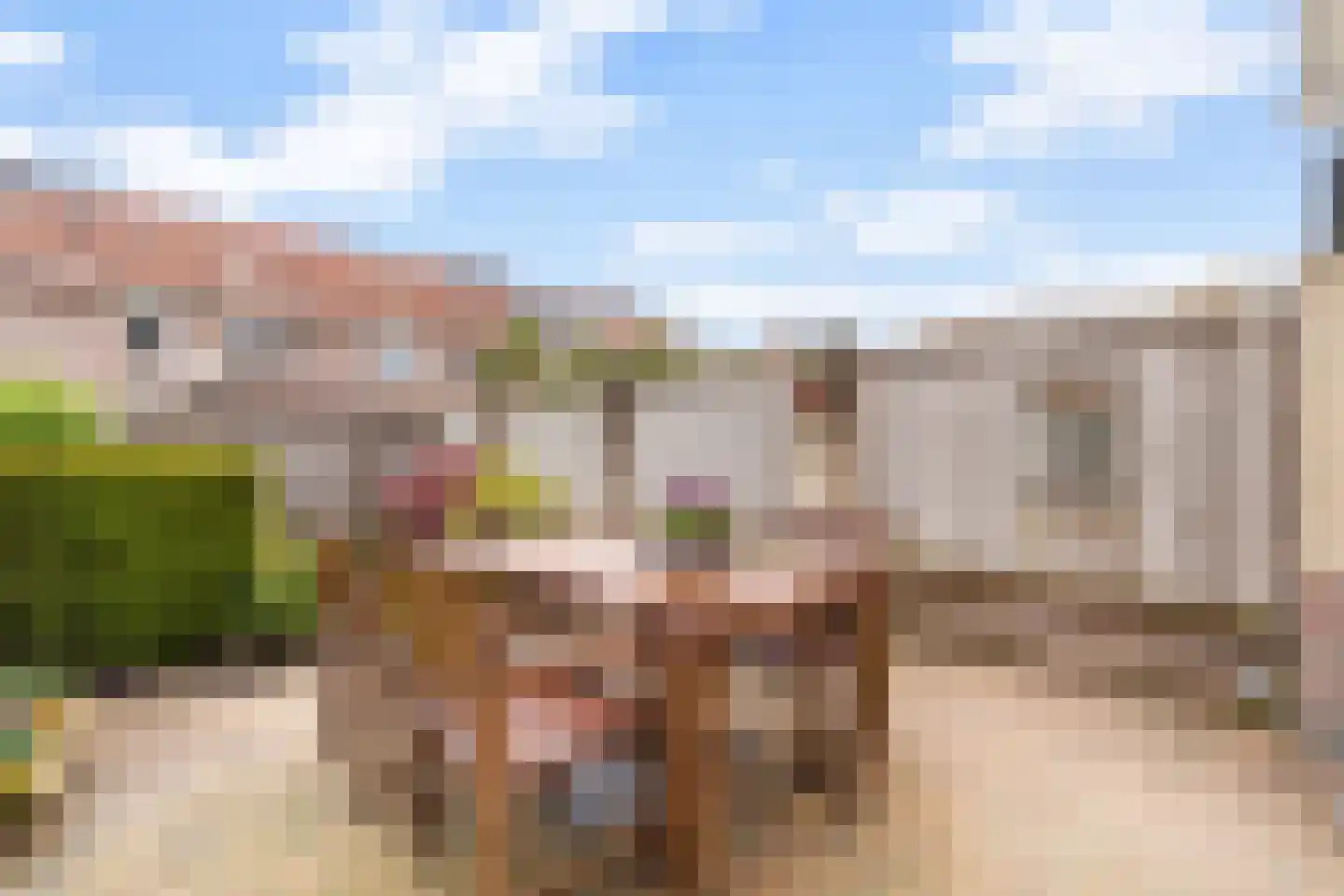 Lepelblad 12 Nijverdal thumbnail 36