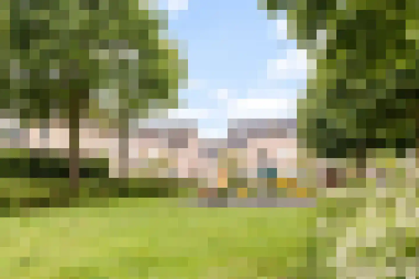 Lepelblad 12 Nijverdal thumbnail 38