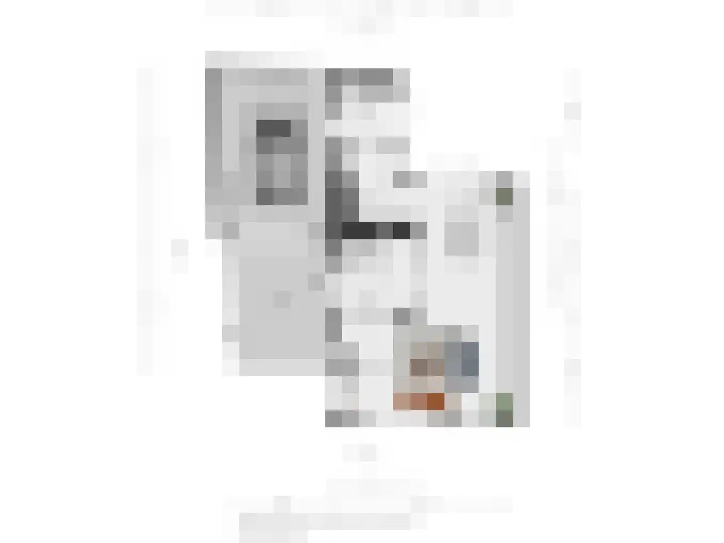 Lepelblad 12 Nijverdal thumbnail 39