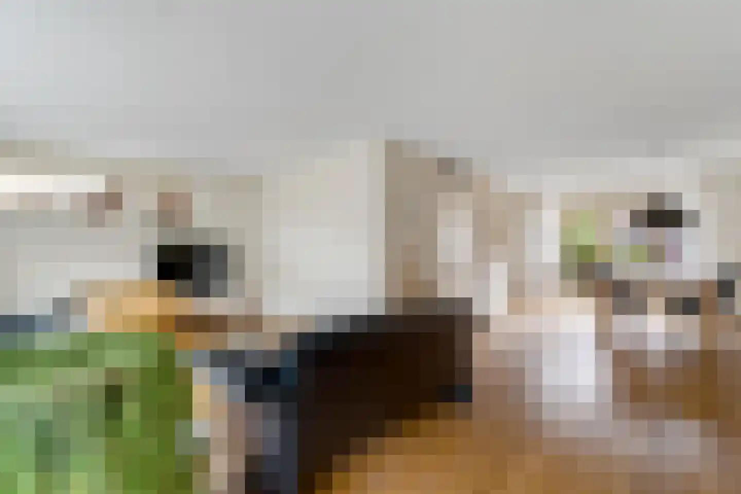 Lepelblad 12 Nijverdal thumbnail 4