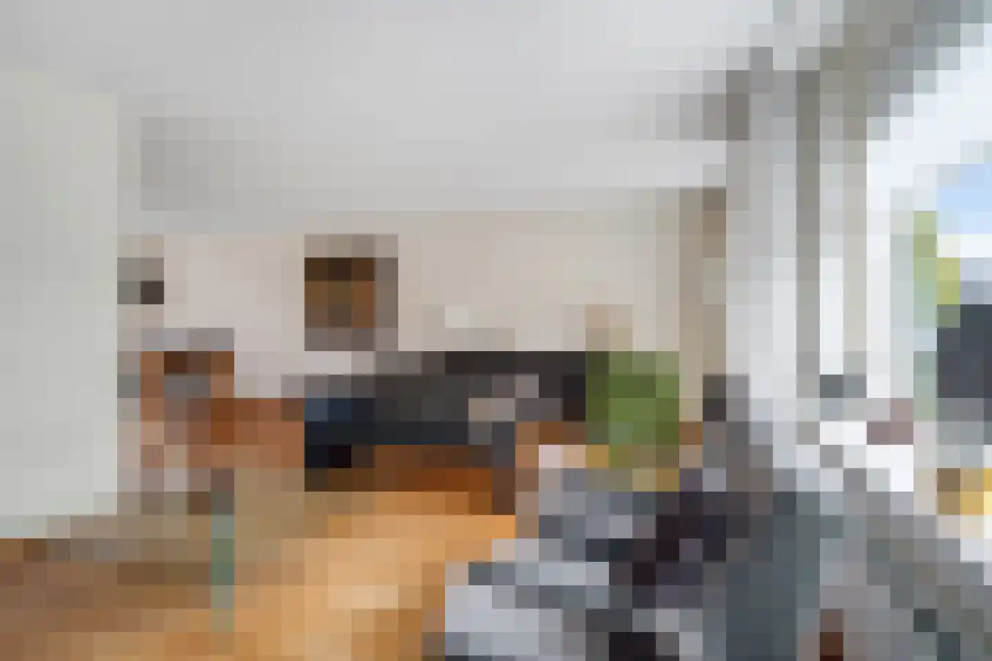 Lepelblad 12 Nijverdal thumbnail 6