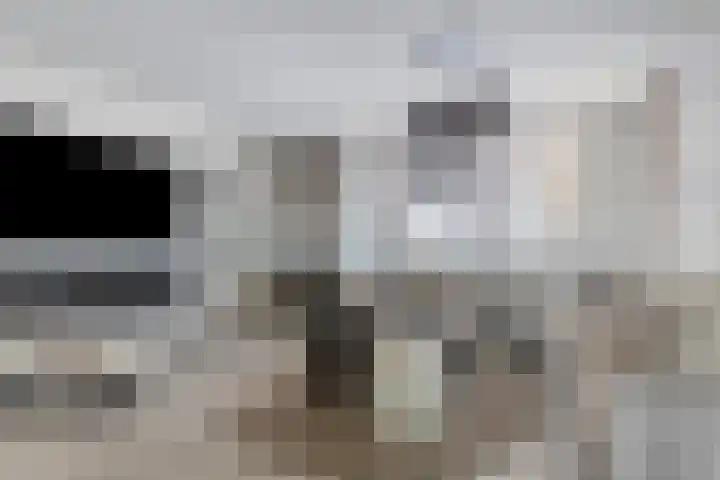 Lepelblad 31 Ilpendam thumbnail 10