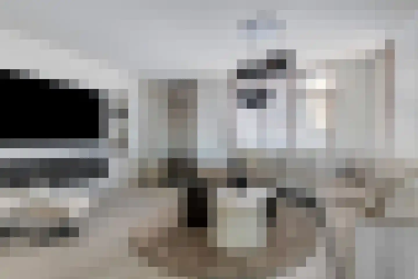Lepelblad 31 Ilpendam thumbnail 10