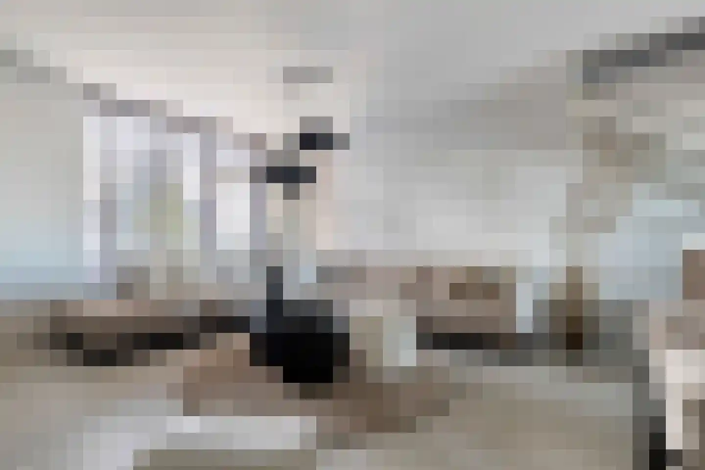 Lepelblad 31 Ilpendam thumbnail 11