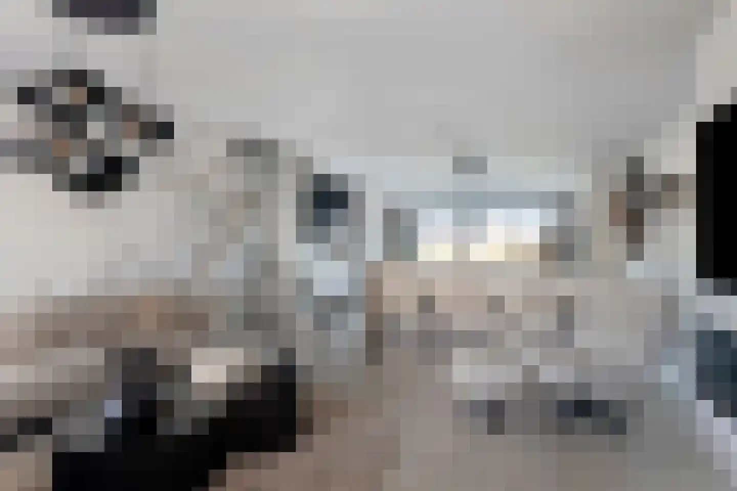 Lepelblad 31 Ilpendam thumbnail 13