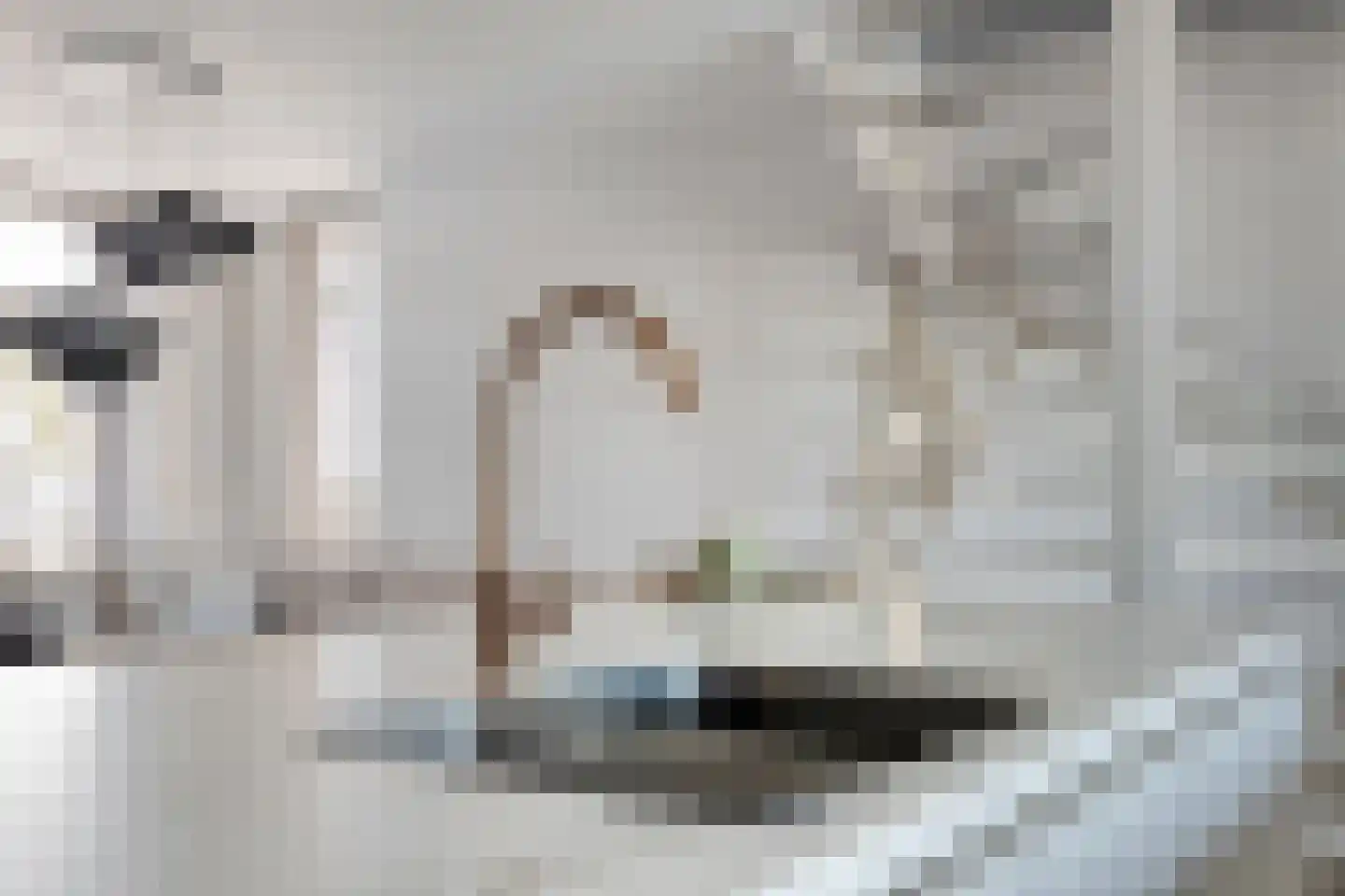 Lepelblad 31 Ilpendam thumbnail 17