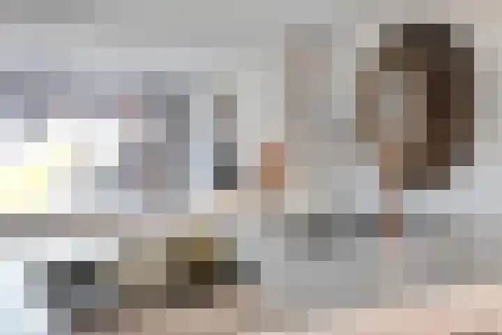 Lepelblad 31 Ilpendam thumbnail 18