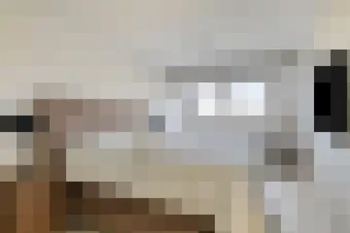 Lepelblad 31 Ilpendam thumbnail 25