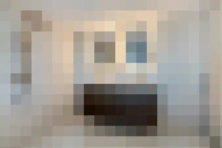 Lepelblad 31 Ilpendam thumbnail 26