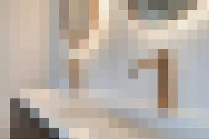 Lepelblad 31 Ilpendam thumbnail 28
