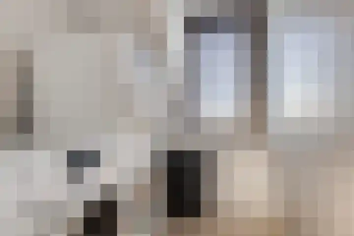 Lepelblad 31 Ilpendam thumbnail 31