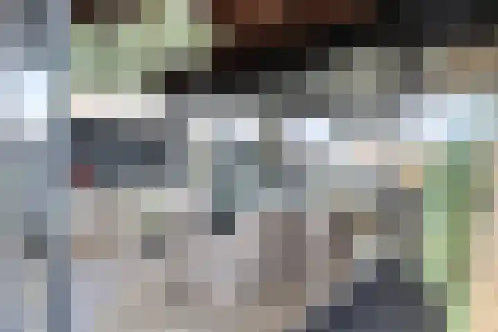 Lepelblad 31 Ilpendam thumbnail 33